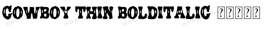 Cowboy Thin BoldItalic字体转换